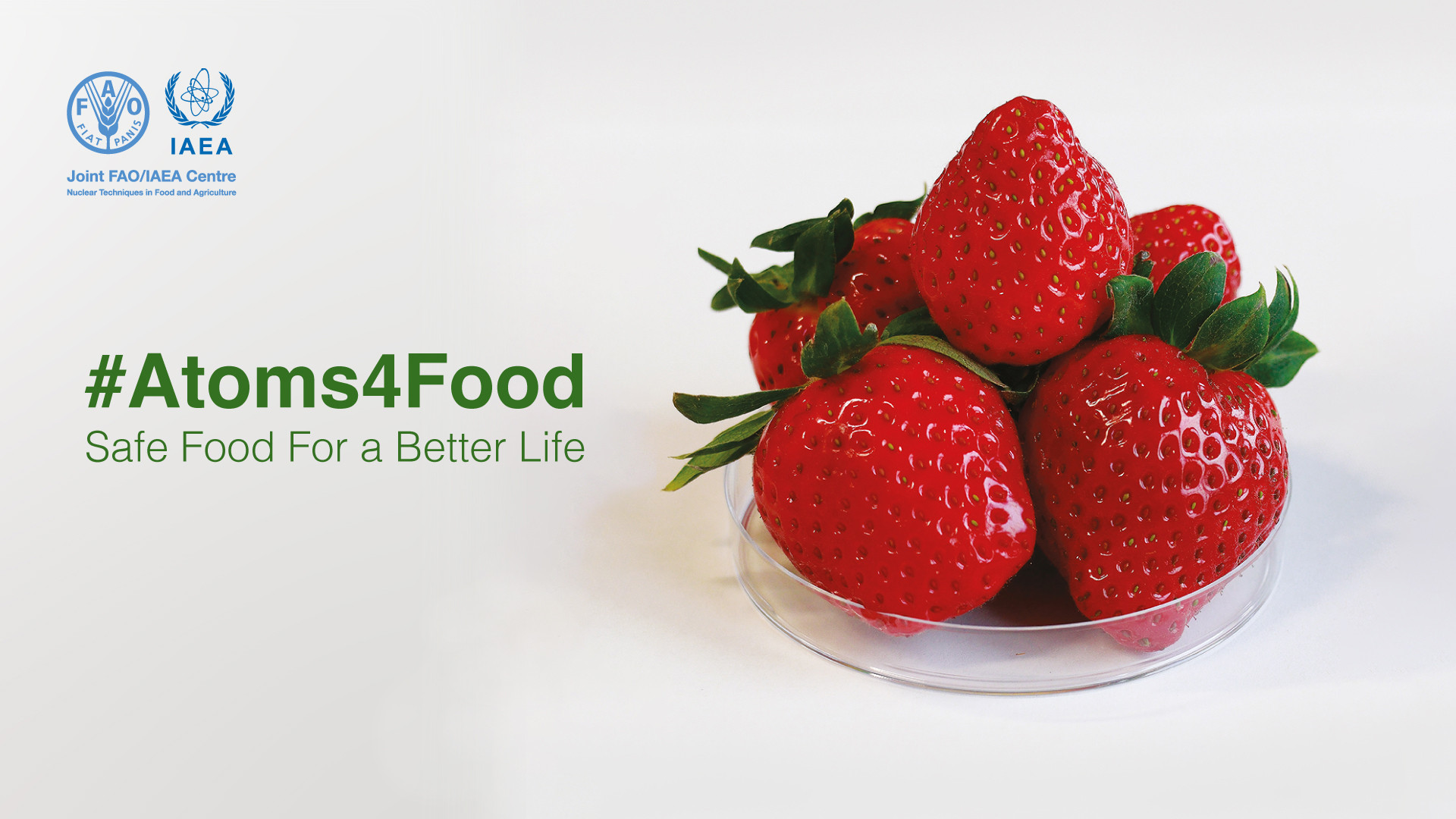 international-symposium-on-food-safety-and-control-webstory.jpg