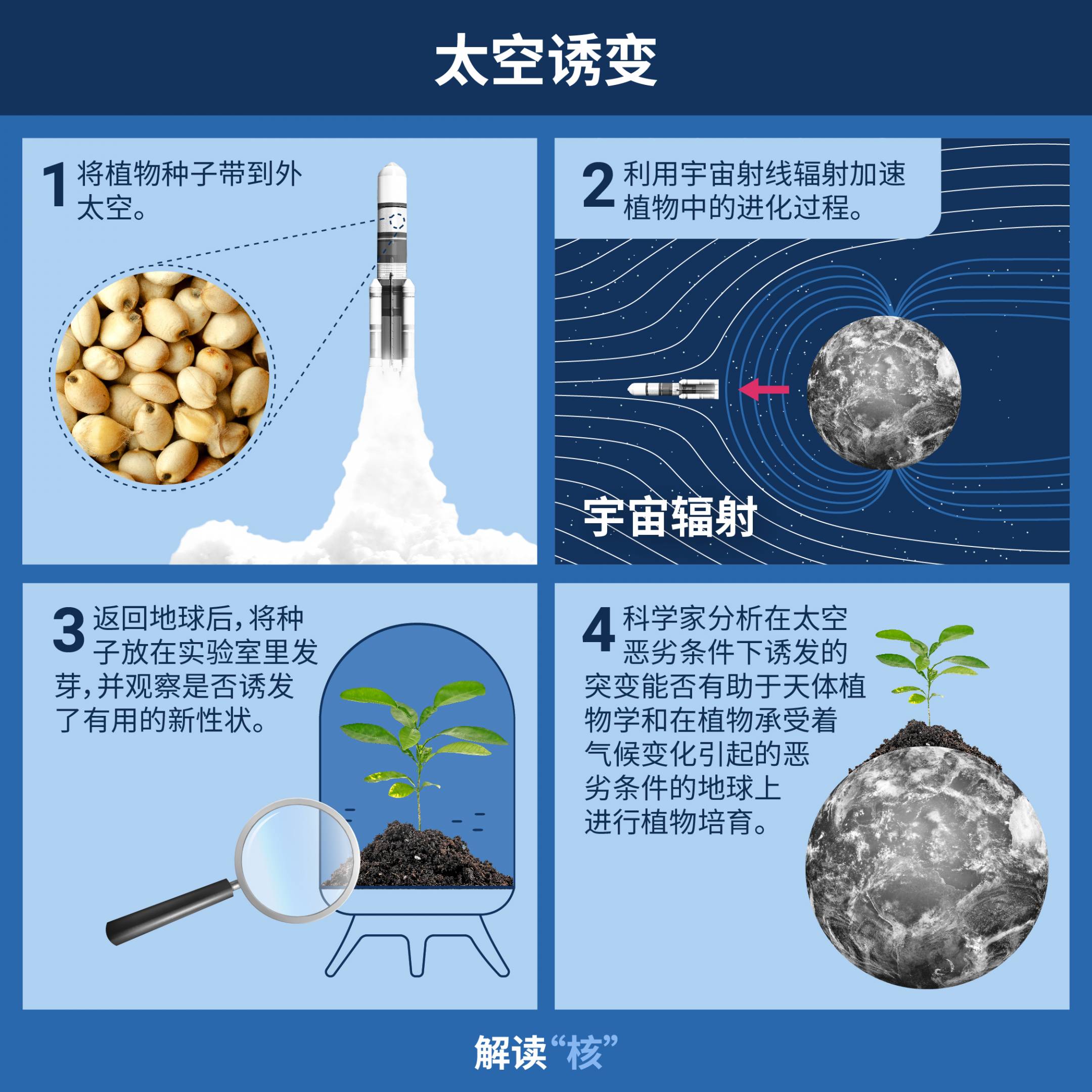 nuclear_explained-plant_mutation_breeding-ch_02-space_mutagenesis.jpg