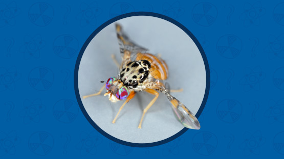 nuclearexplainedpestcontrolcover.jpg
