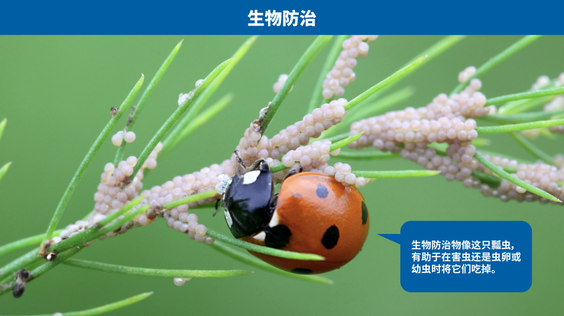 pest_control-ch_03_biological_control_.jpg