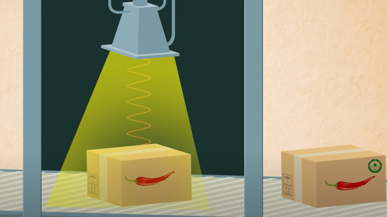 food_irradiation.jpg