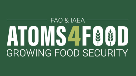 atoms4food-logo-2.jpg atoms4food-logo-2.jpg