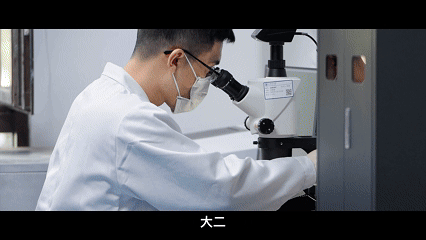 3.gif